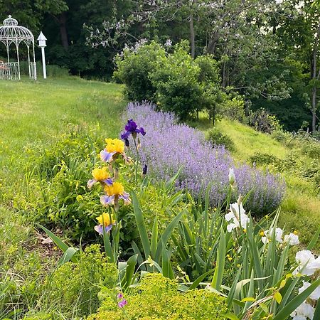 La Soledad Lavender Farm And Guesthouse Harpers Ferry Luaran gambar