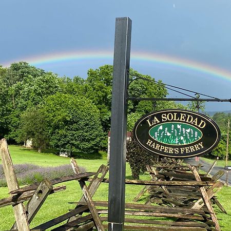 La Soledad Lavender Farm And Guesthouse Harpers Ferry Luaran gambar