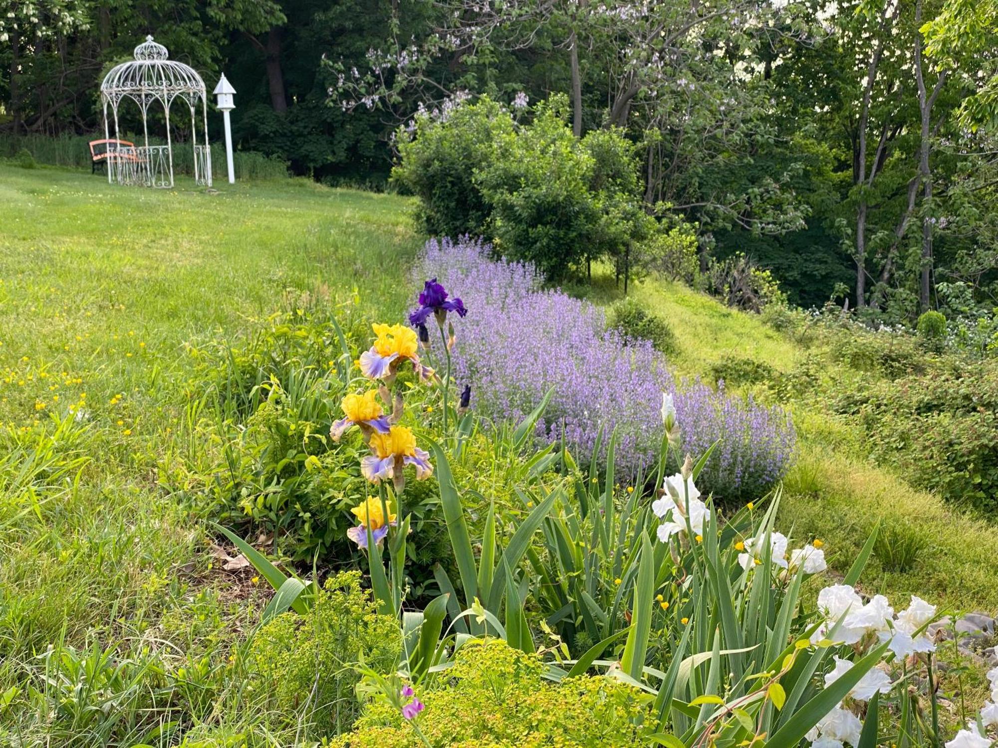 La Soledad Lavender Farm And Guesthouse Harpers Ferry Luaran gambar