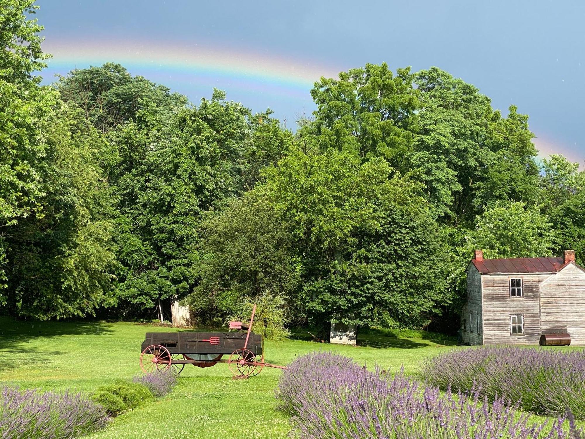 La Soledad Lavender Farm And Guesthouse Harpers Ferry Luaran gambar