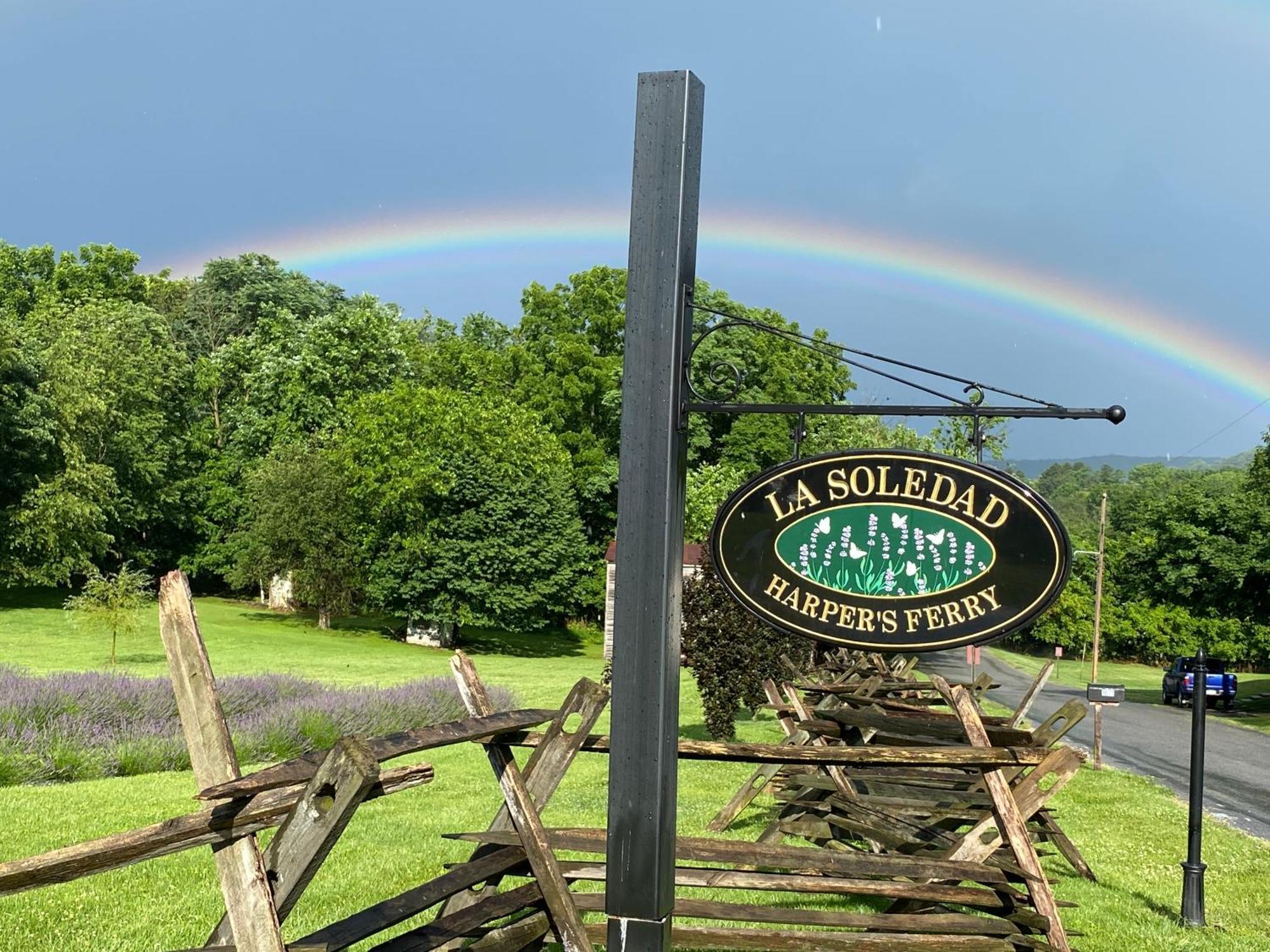 La Soledad Lavender Farm And Guesthouse Harpers Ferry Luaran gambar